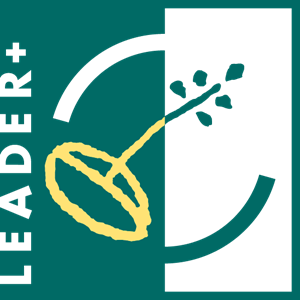 Logo Leader+